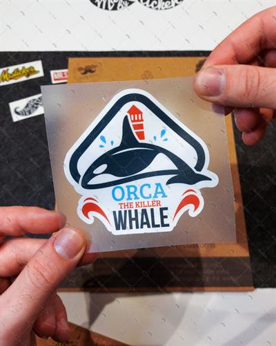 AN5- Katil Balina Etiketi