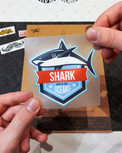 AN6- Kopekbaligi Etiketi