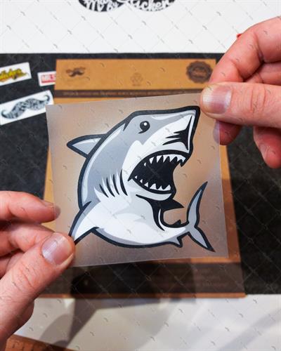 AN7- Kopekbaligi Etiketi