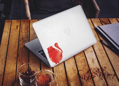 ANCT10- Sisko Kedi Etiketi