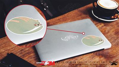 ANCT11- Uyuyan Kedi Etiketi