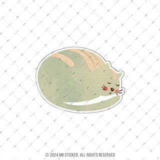 ANCT11- Uyuyan Kedi Etiketi