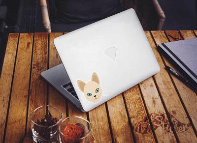 ANCT15- Sphynx Kedi Etiketi