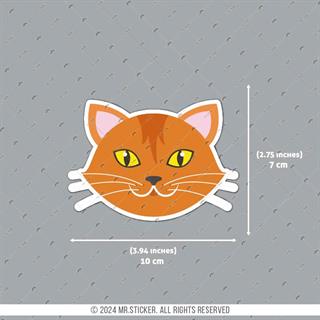 ANCT16- Sari Kedi Etiketi