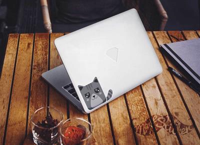 ANCT20- Gri Tekir Kedi Etiketi