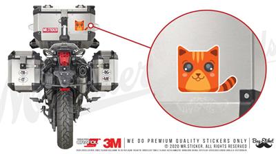 ANCT21- Sarman Tekir Kedi Etiketi