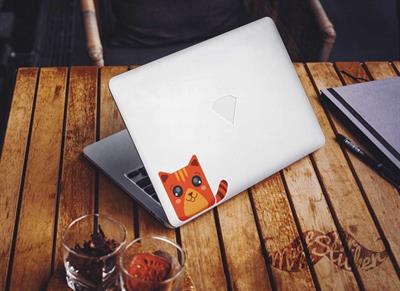 ANCT21- Sarman Tekir Kedi Etiketi