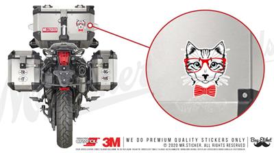 ANCT23- Hipster Kedi Etiketi