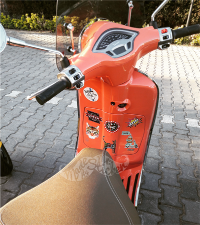 ANCT29- Triangle Tasarim Kedi Etiketi