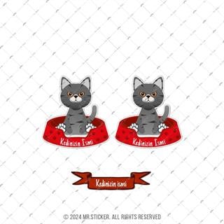 ANCT32 Gri Tekir Kedi Etiketi Seti - Kedinizin Ismine Ozel