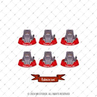 ANCT33 British Fold Kedi Etiketi Seti - Kedinizin Ismine Ozel