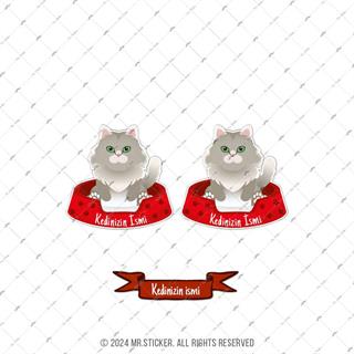 ANCT38 Norwegian Forest Kedi Etiketi Seti - Kedinizin Ismine Ozel