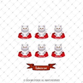 ANCT40 White British Kedi Etiketi Seti - Kedinizin Ismine Ozel