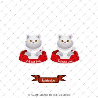 ANCT40 White British Kedi Etiketi Seti - Kedinizin Ismine Ozel