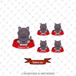 ANCT41 British Kedi Etiketi Seti - Kedinizin Ismine Ozel