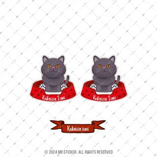 ANCT41 British Kedi Etiketi Seti - Kedinizin Ismine Ozel