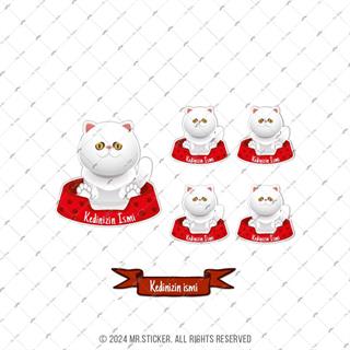 ANCT42 Exotic Shorthair Kedi Etiketi Seti - Kedinizin Ismine Ozel