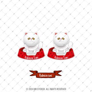 ANCT42 Exotic Shorthair Kedi Etiketi Seti - Kedinizin Ismine Ozel