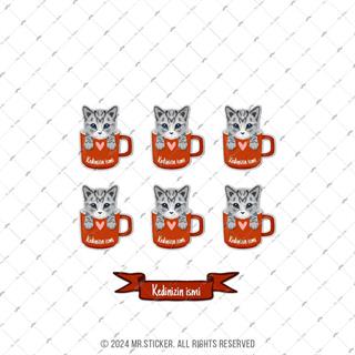 ANCT53 American Shorthair Kedi Etiketi Seti - Kedinizin Ismine Ozel