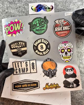 BDLS12 Küçük Boy 10lu Sticker Seti