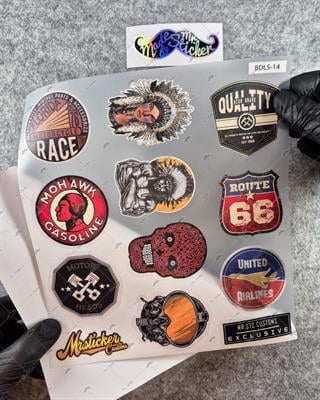 BDLS14 Küçük Boy 10lu Sticker Seti