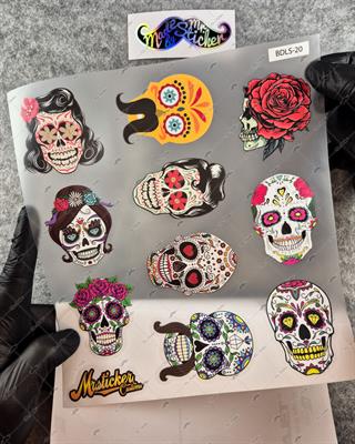 BDLS20 Küçük Boy 10lu Sticker Seti