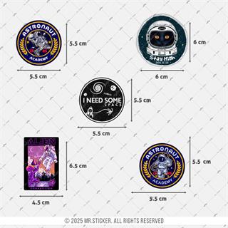 BDLS30 Küçük Boy 10lu Sticker Seti