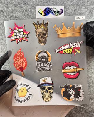 BDLS31 Küçük Boy 10lu Sticker Seti
