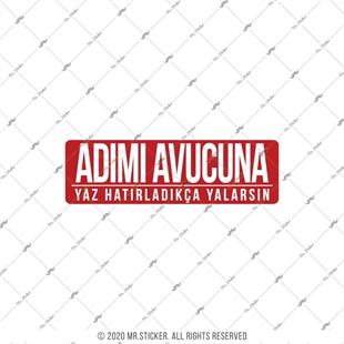 ESP47 V3 Adimi Avucuna Yaz Yazili Etiket