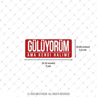 ESP54 V3 Guluyorum Ama Kendi Halime Yazili Etiket
