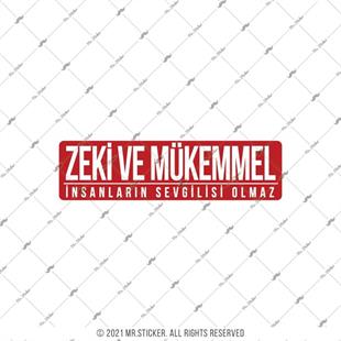 ESP63 V3 zeki ve mukemmel