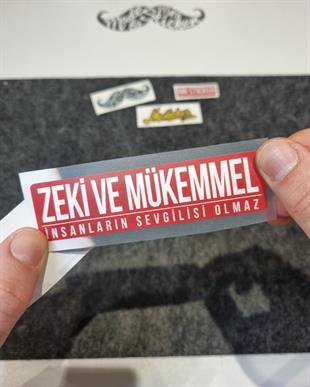 ESP63 V3 zeki ve mukemmel