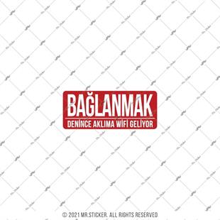 ESP64 V3 Baglanmak Denince