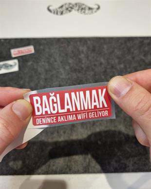 ESP64 V3 Baglanmak Denince