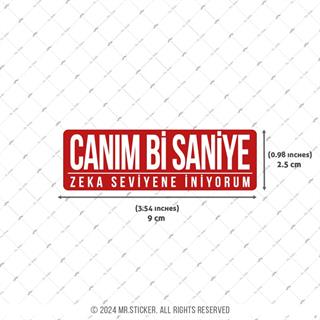 ESP67 V3 Canim Bi Saniye