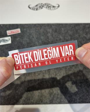 ESP68 V3 Bitek Dilegim Var