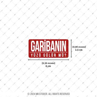 ESP71 V3 Garibanin Yuzu Gulur mu?