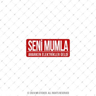 ESP76 Mumla Ararken Elektrikler Geldi