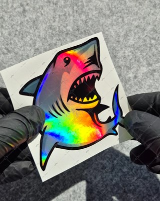 HLG115 Hologram Köpek Balığı Etiket