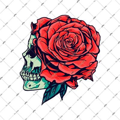 SKL47 Gullu Kurukafa Etitketi