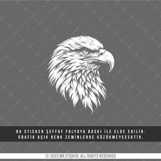 TWT16 Beyaz Çizgi Çalışma Kartal Etiketi Şeffaf Sticker
