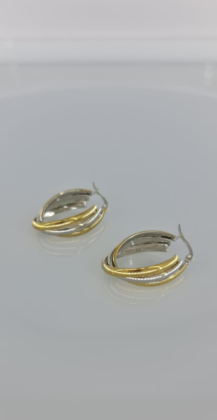 2 renkli Çelik Küpe D248-12 renkli Çelik Küpe D248-1