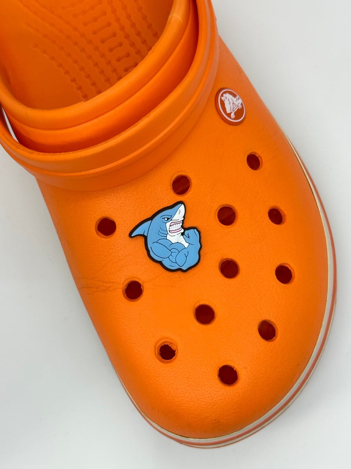 Güçlü Köpek Balığı Temalı Temalı Jibbitz Crocs Terlik Süsü 