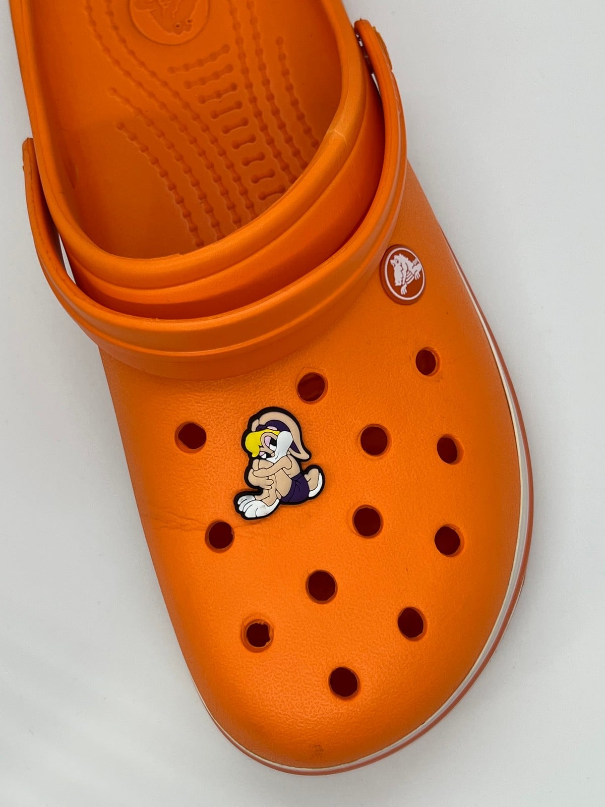 Lola Bunny Temalı Temalı Jibbitz Crocs Terlik Süsü 