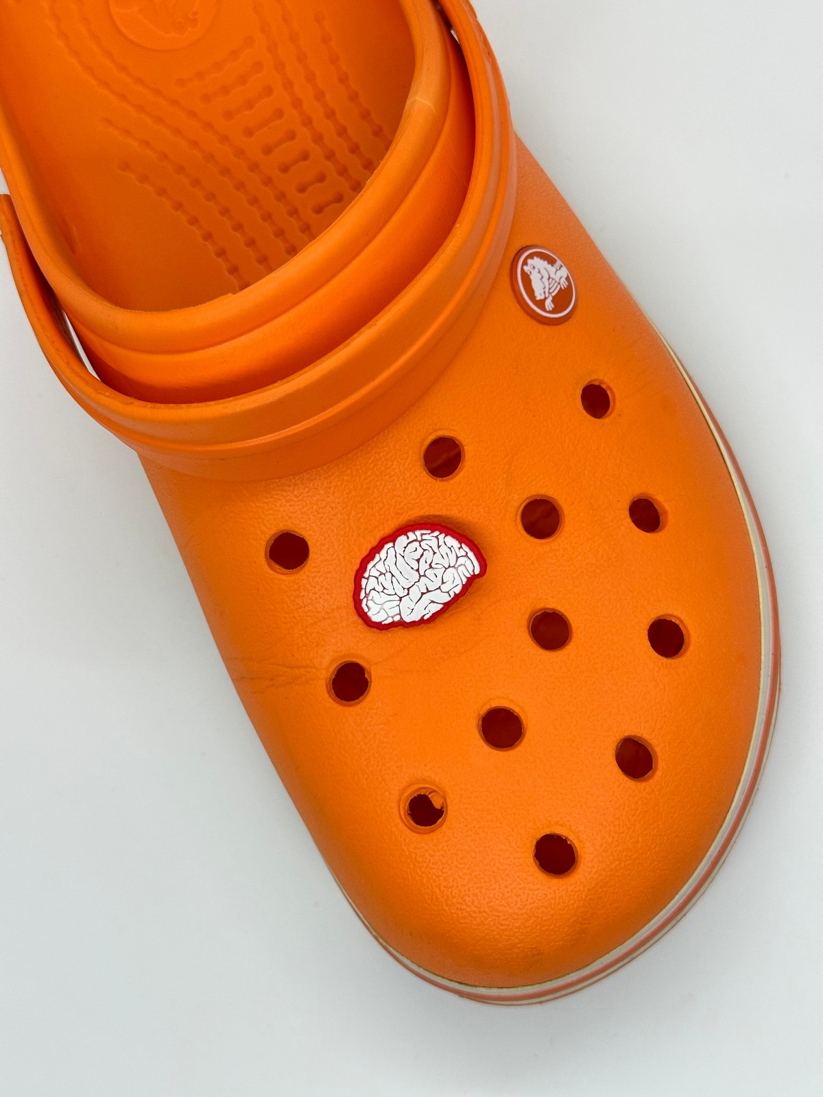 Beyin Temalı Temalı Jibbitz Crocs Terlik Süsü 