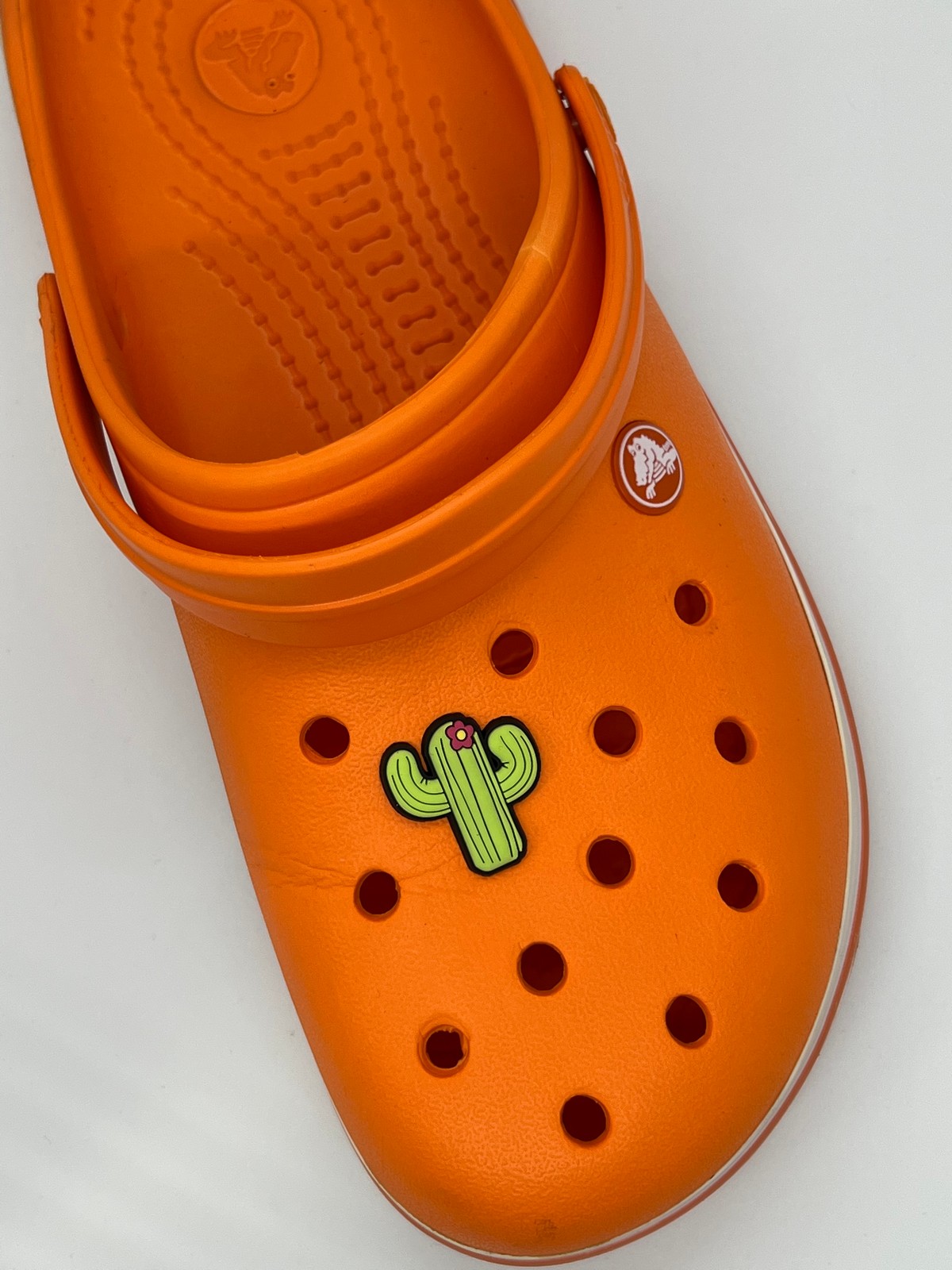 Kaktüs Temalı Temalı Jibbitz Crocs Terlik Süsü 
