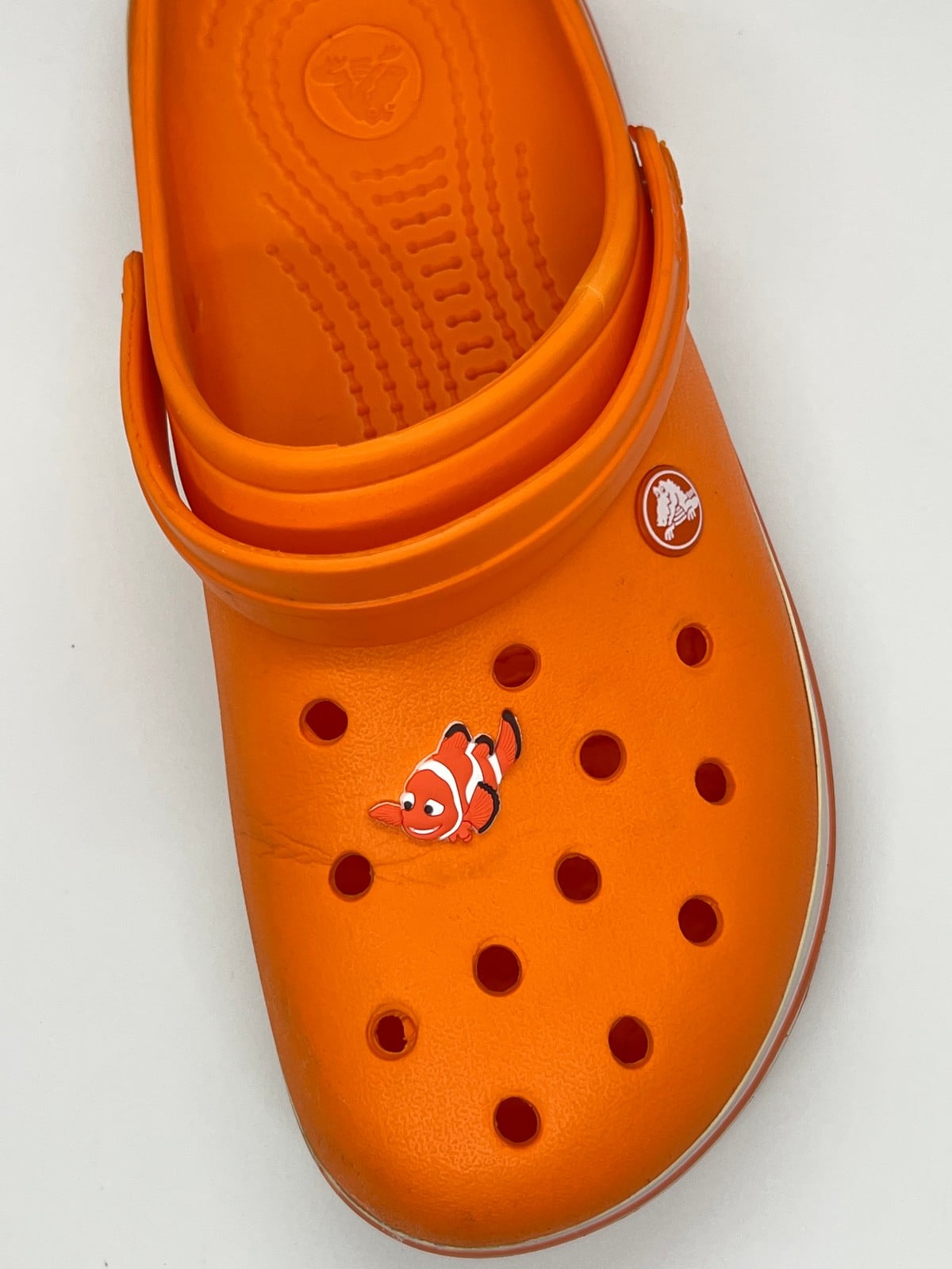 Kayıp Balık Nemo Temalı Temalı Jibbitz Crocs Terlik Süsü 