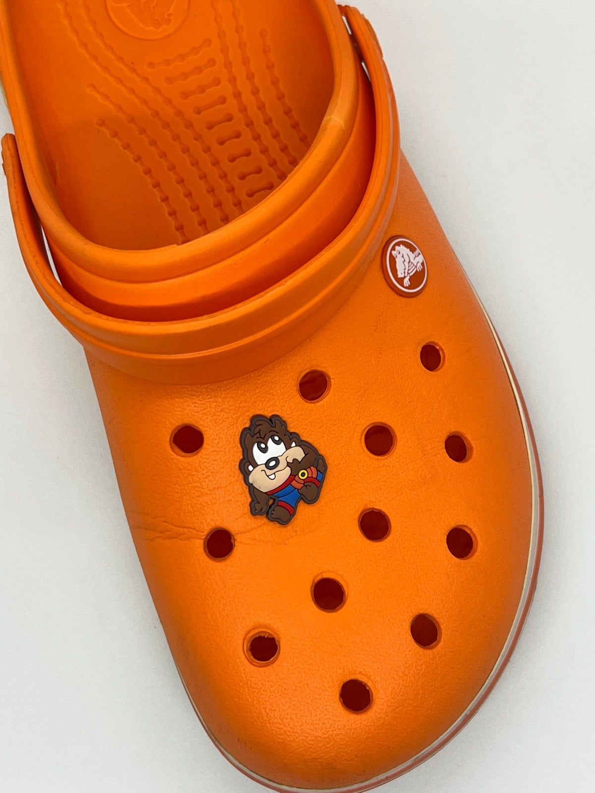 Yavru Tazmanya Canavarı Temalı Temalı Jibbitz Crocs Terlik Süsü 