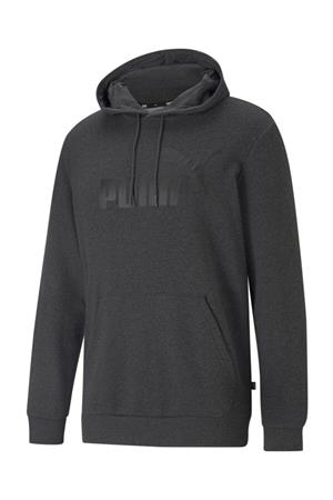 Puma Big Logo Hoodie