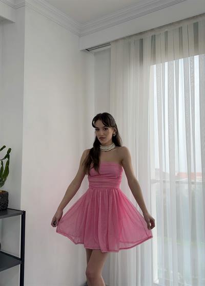 Liona Mini Fiyonklu Pembe Elbise 